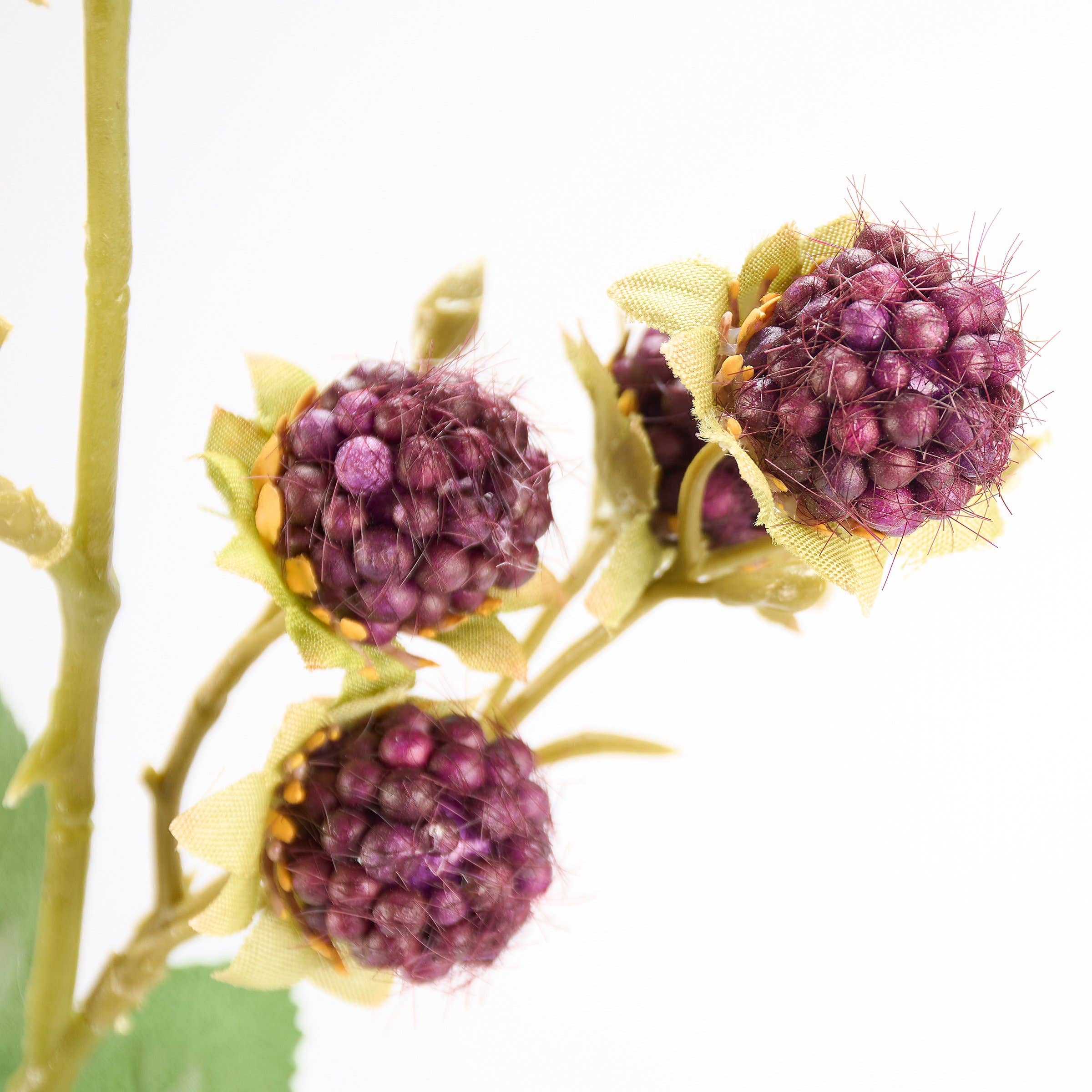 Raspberry Floral Pick