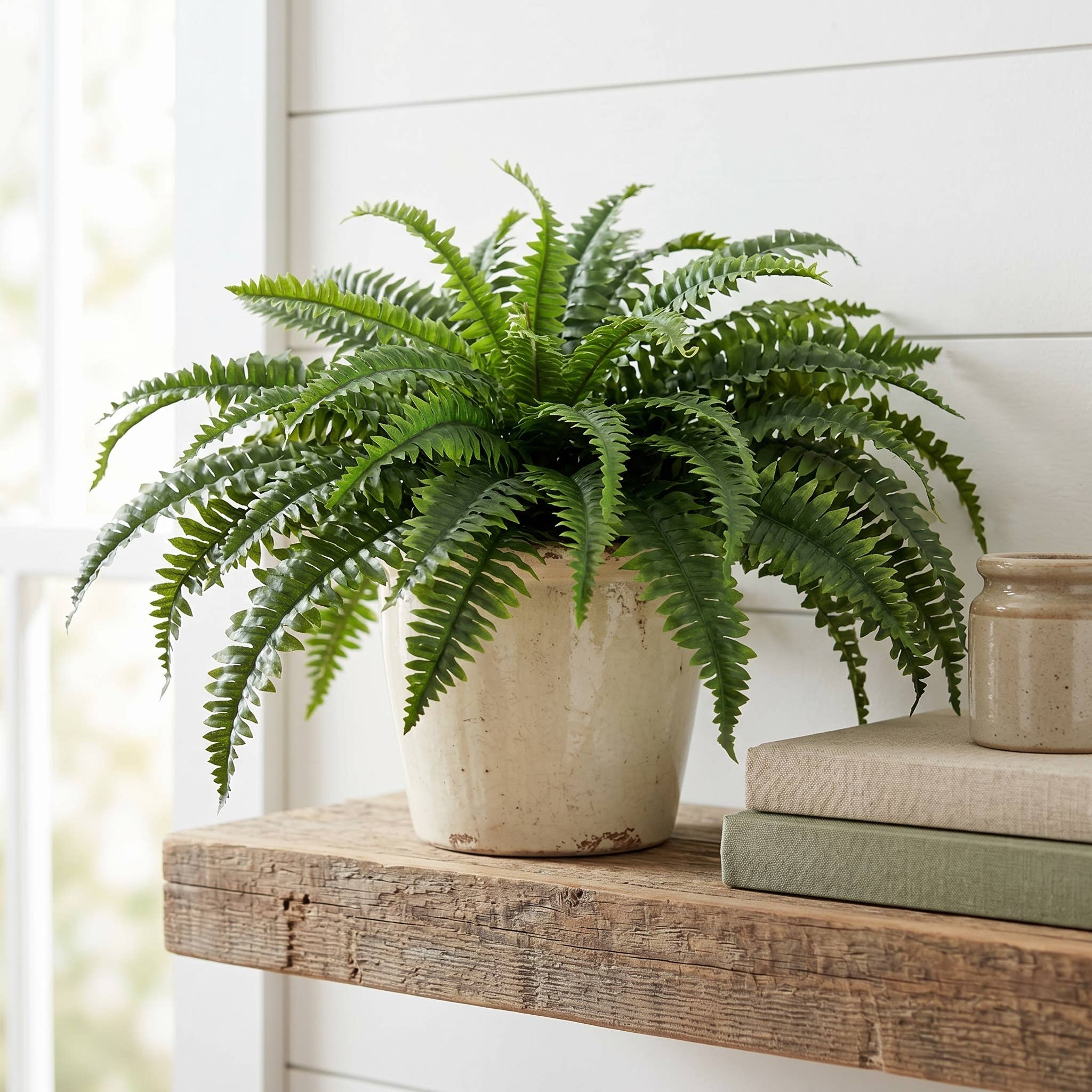 Boston Fern 34" Lush Decorative Indoor Plant Spring Decor 24