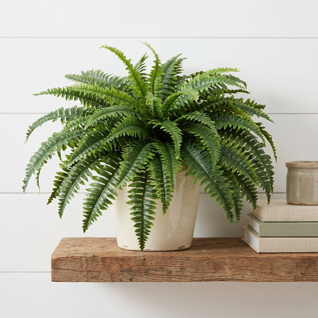 Boston Fern 34" Lush Decorative Indoor Plant Spring Decor 24