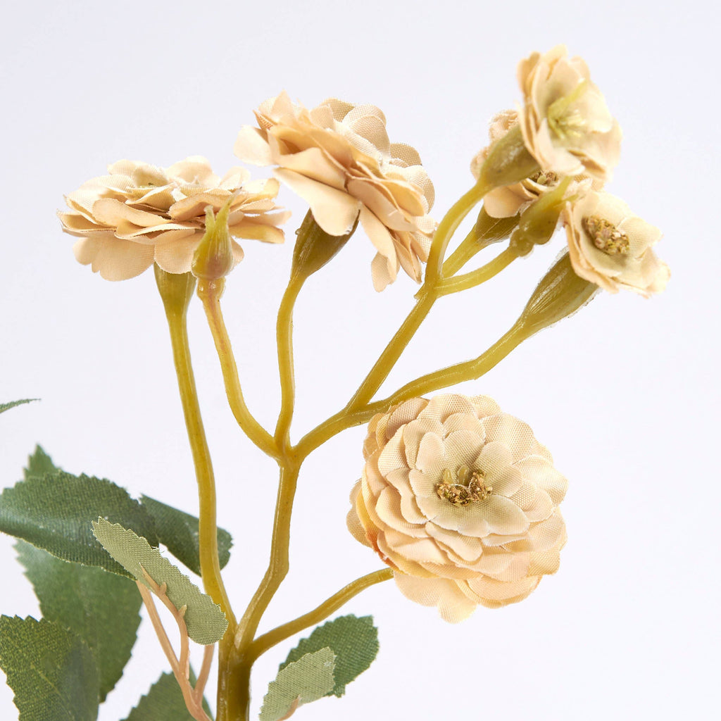 Cream Rose Floral Pick