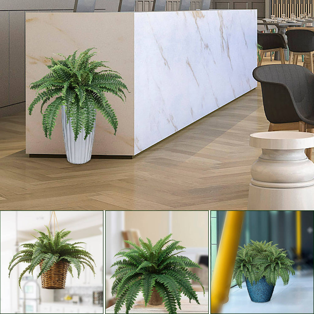 Boston Fern 34" Lush Decorative Indoor Plant Spring Decor 24